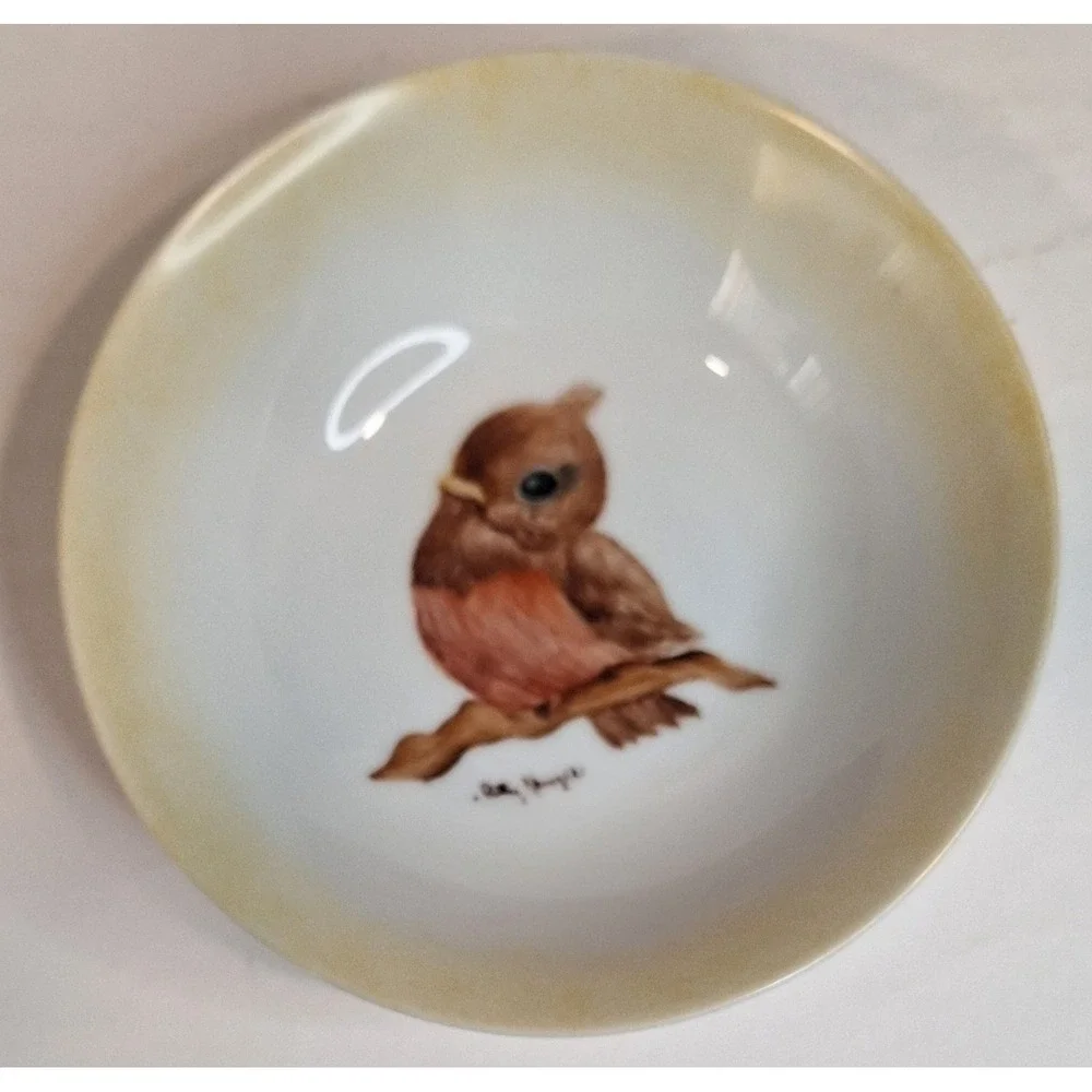 Vintage‎ Handpainted Ceramic Bowl Baby Robin Spring Bird